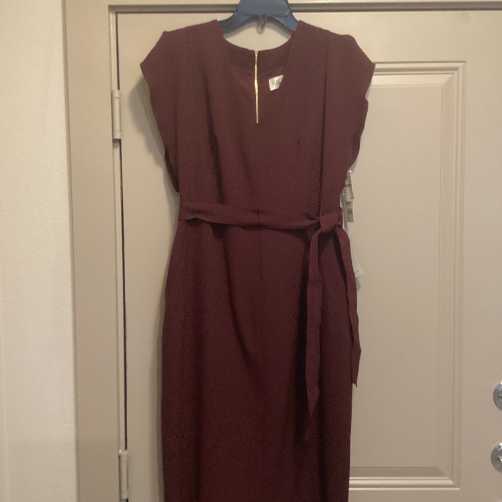 Eliza J Ruffle Sleeve Sheath Dress, size 10